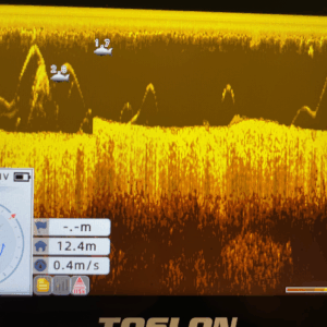 Carp Royal King Pro - Image 14